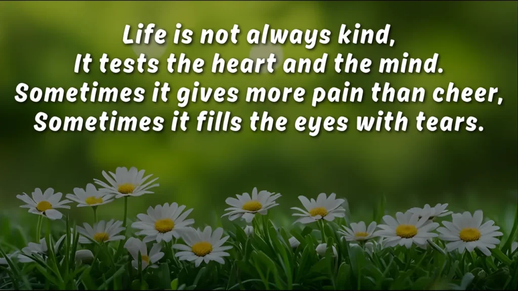 English Shayari on Life