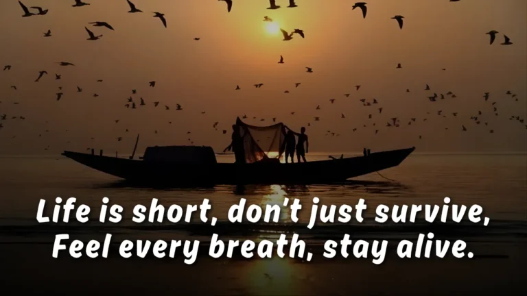 English Shayari on Life