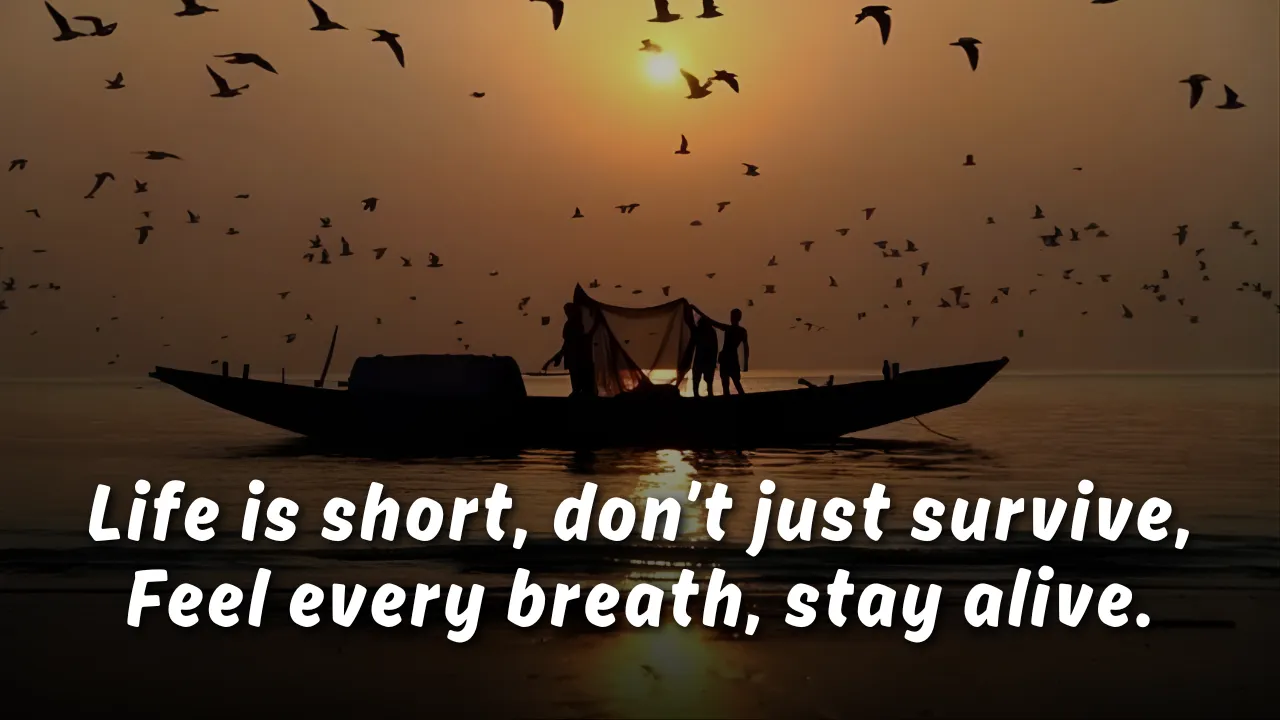 English Shayari on Life