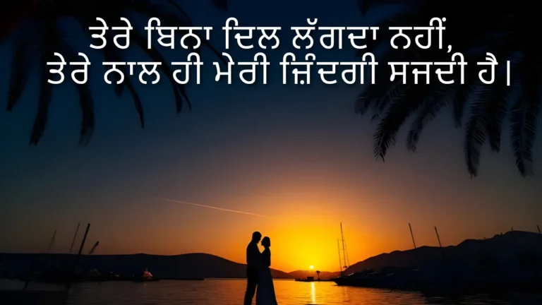 Punjabi love shayari 2 lines
